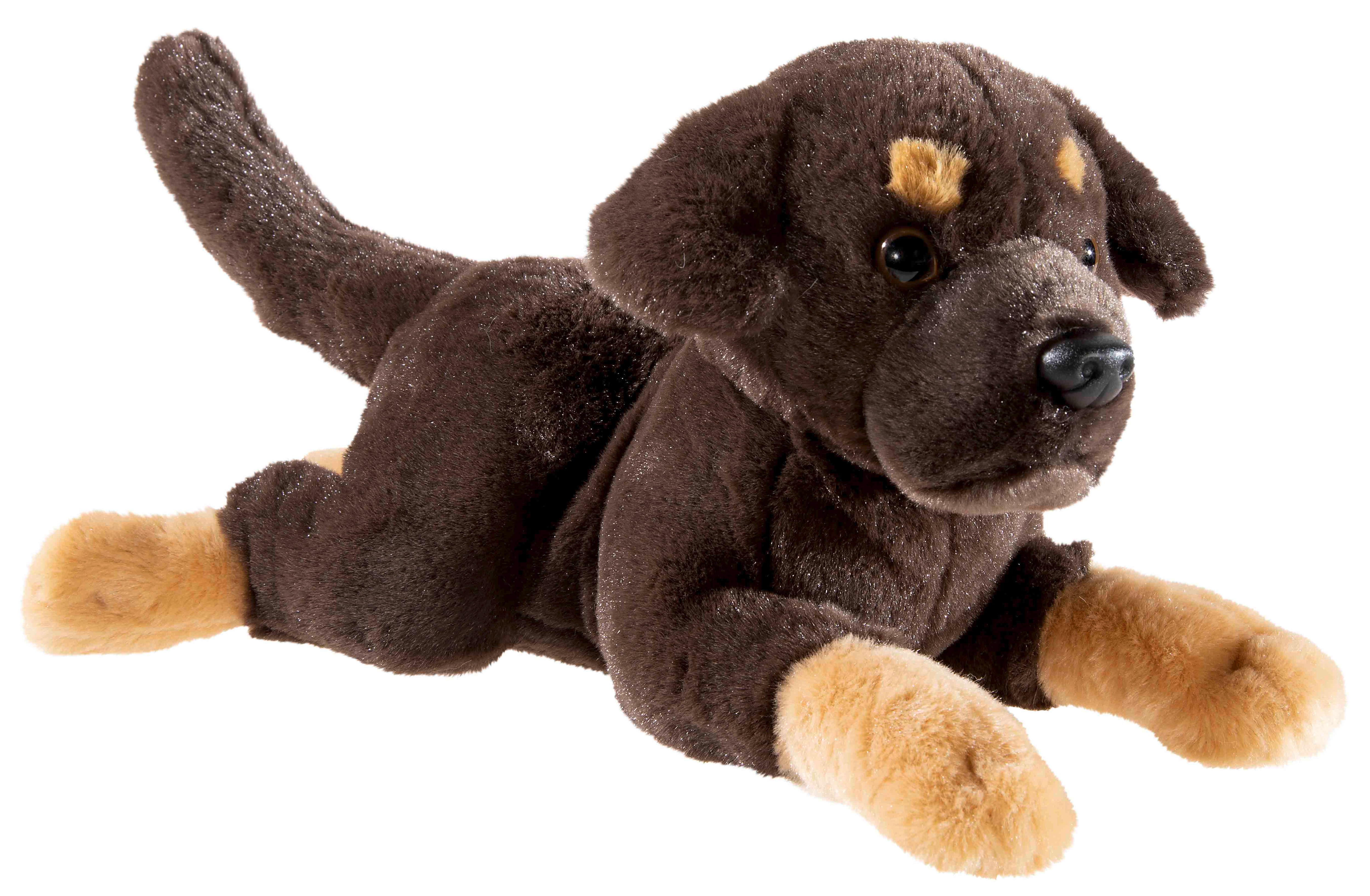 MISANIMO WELPE Labrador liegend - Bild 1