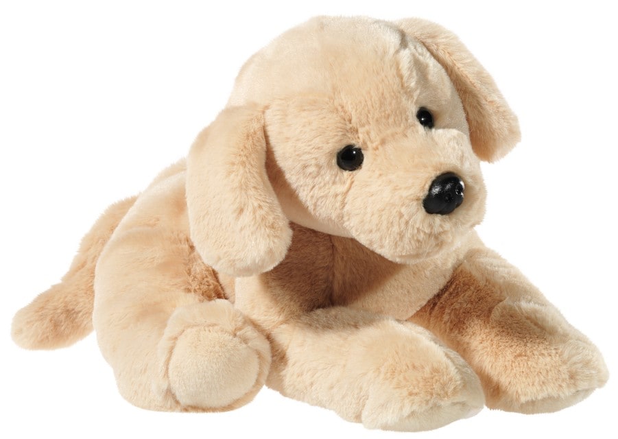 HUND Golden Retriever - Bild 1