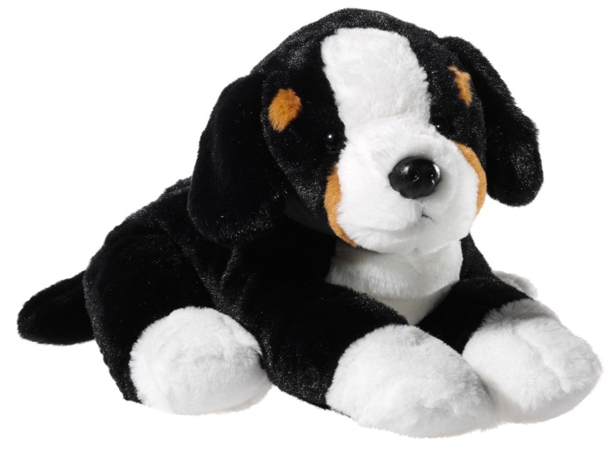HUND Berner Sennehund - Bild 1