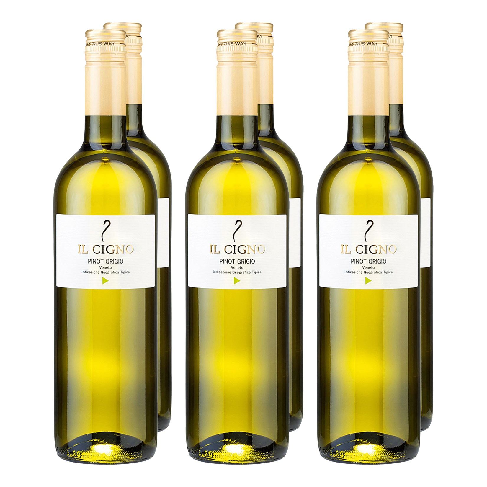 Le Contesse IL CIGNO Pinot Grigio 12,0 % vol 1 Liter, 6er Pack - Bild 1