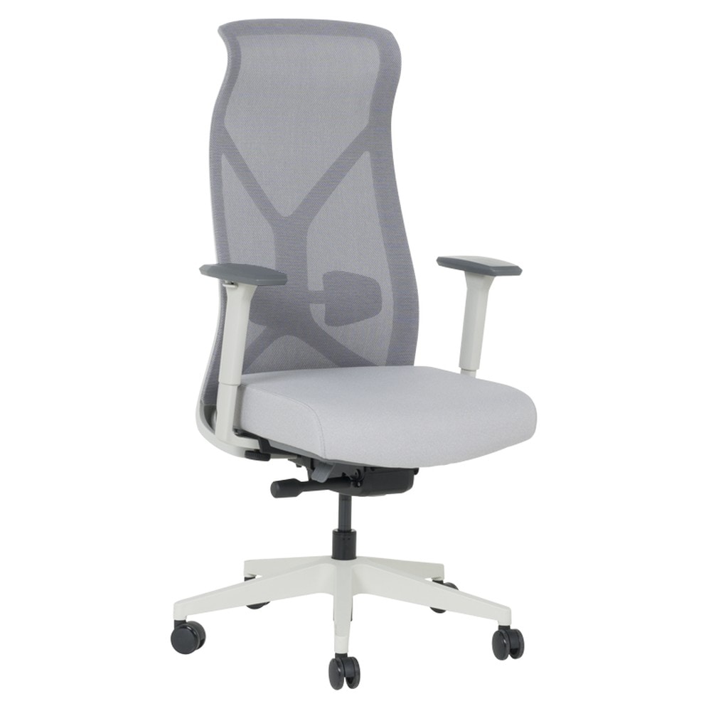Carmen SARON Ergonomischer B&uuml;rostuhl mit Netzr&uuml;cken, Lordosenst&uuml;tze und 3D-Armlehnen &ndash; Grau - Bild 1