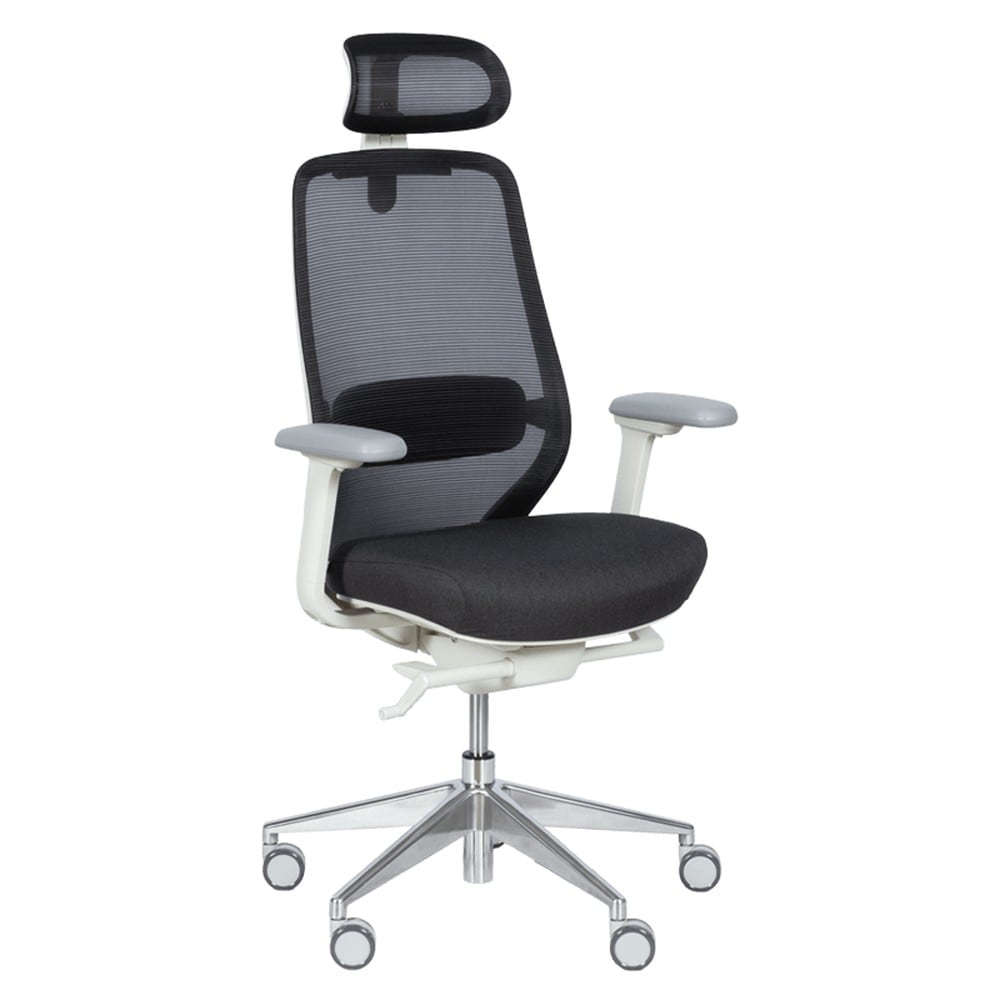 Carmen GLAND Ergonomischer B&uuml;rostuhl mit Netzr&uuml;cken, Kopfst&uuml;tze, Lordosenst&uuml;tze, 4D-Armlehnen und Alu-Fu&szlig;kreuz &ndash; Schwarz - Bild 1