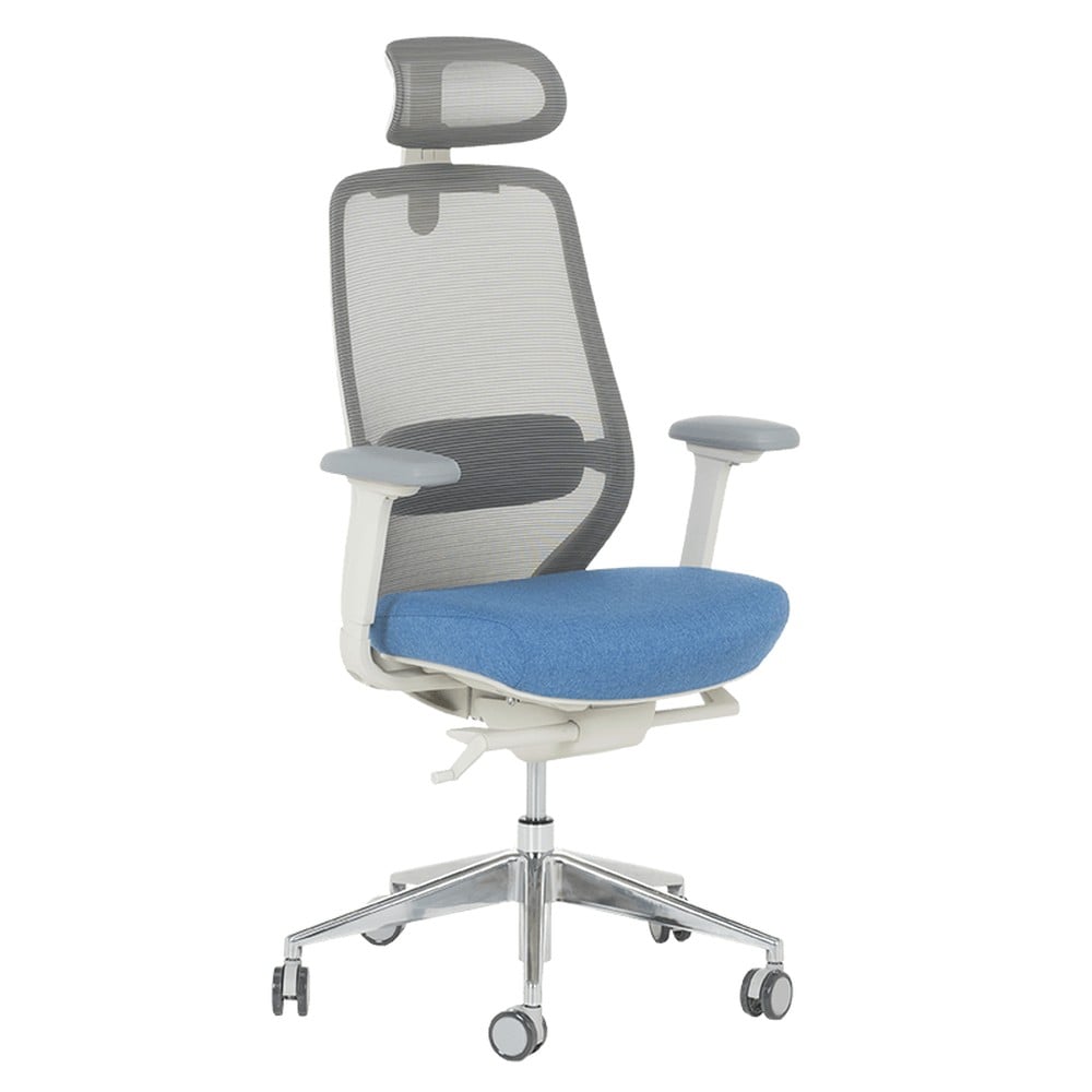 Carmen GLAND Ergonomischer B&uuml;rostuhl mit Netzr&uuml;cken, Kopfst&uuml;tze, Lordosenst&uuml;tze, 4D-Armlehnen und Alu-Fu&szlig;kreuz &ndash; Blau/Grau - Bild 1