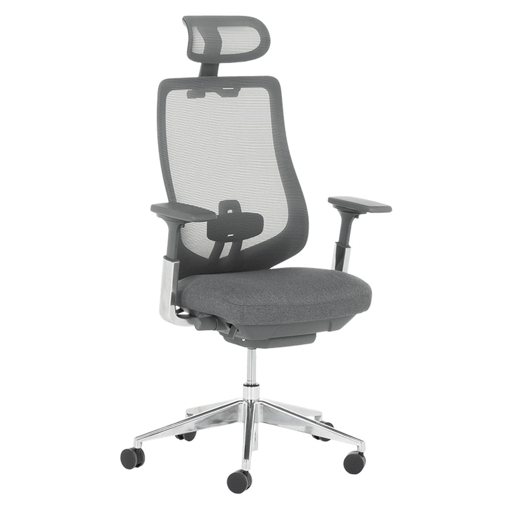 Carmen BADEN Ergonomischer B&uuml;rostuhl mit Netzr&uuml;cken, Kopfst&uuml;tze, Lordosenst&uuml;tze, 4D-Armlehnen und Alu-Fu&szlig;kreuz &ndash; Grau - Bild 1