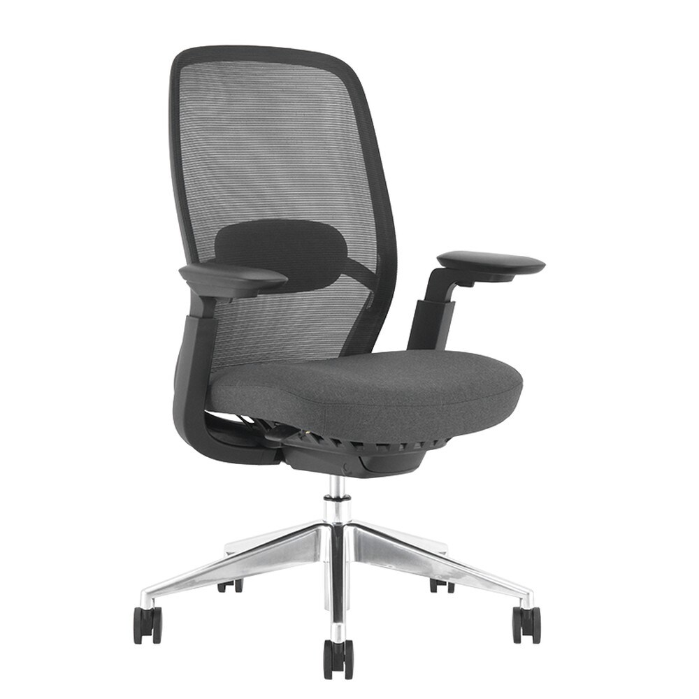 Carmen HORGEN Ergonomischer B&uuml;rostuhl mit Netzr&uuml;cken, Lordosenst&uuml;tze, 4D-Armlehnen und Alu-Fu&szlig;kreuz &ndash; Schwarz - Bild 1