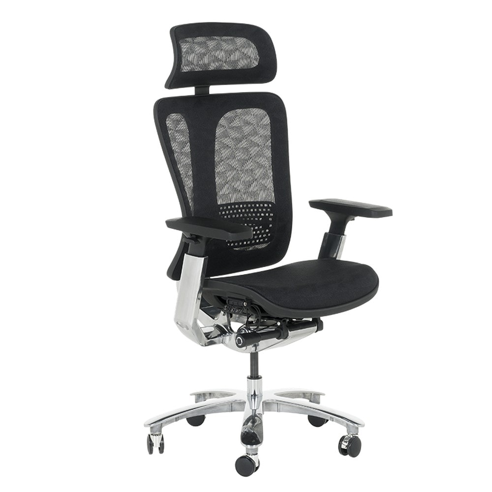 Carmen TRAIL Ergonomischer B&uuml;rostuhl &ndash; Schwarz - Bild 1