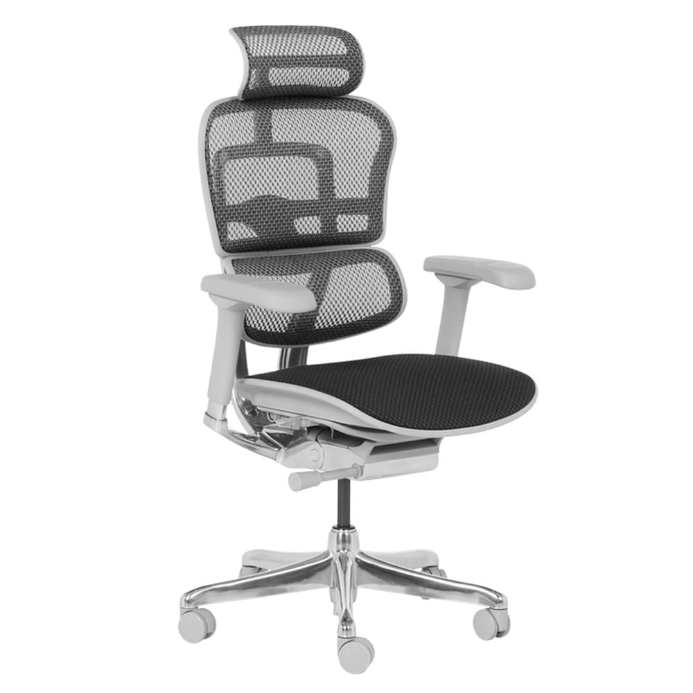 Ergohuman ELITE 2 Ergonomischer B&uuml;rostuhl &ndash; Grau/Schwarz - Bild 1
