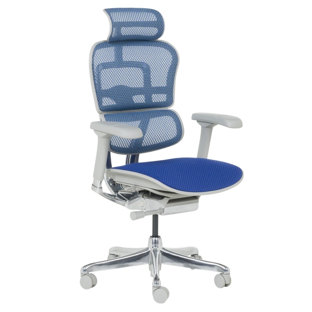 Ergohuman ELITE 2 Ergonomischer B&uuml;rostuhl &ndash; Grau/Blau - Bild 1