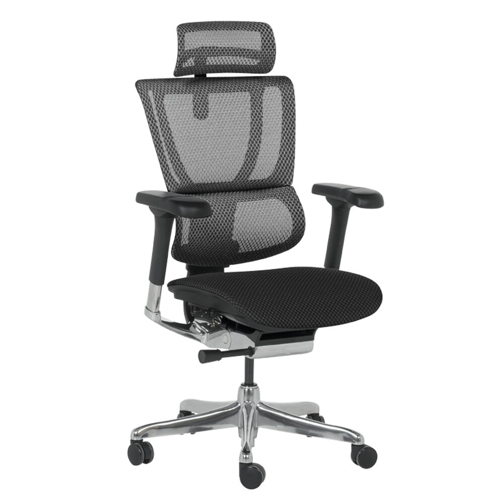 Ergohuman IOO ELITE 2 Ergonomischer B&uuml;rostuhl &ndash; Schwarz - Bild 1