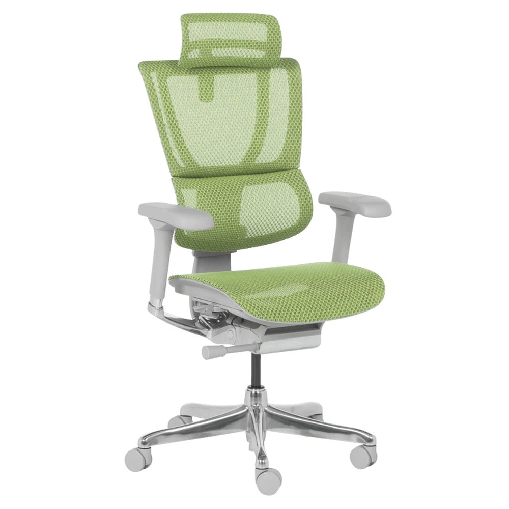 Ergohuman IOO ELITE 2 Ergonomischer B&uuml;rostuhl &ndash; Grau/Gr&uuml;n - Bild 1