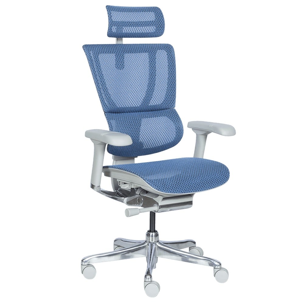 Ergohuman IOO ELITE 2 Ergonomischer B&uuml;rostuhl &ndash; Grau/Blau - Bild 1