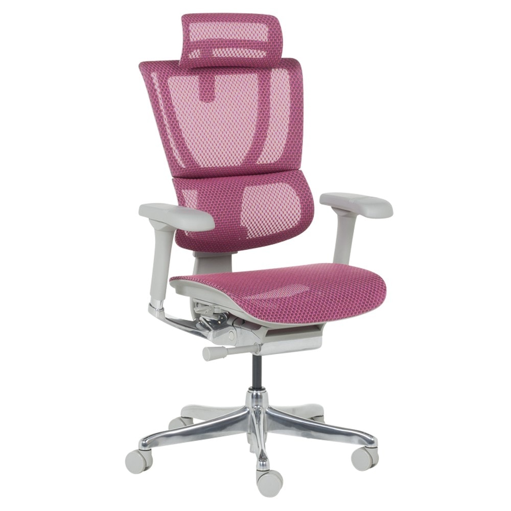 Ergohuman IOO ELITE 2 Ergonomischer B&uuml;rostuhl &ndash; Grau/Rosa - Bild 1