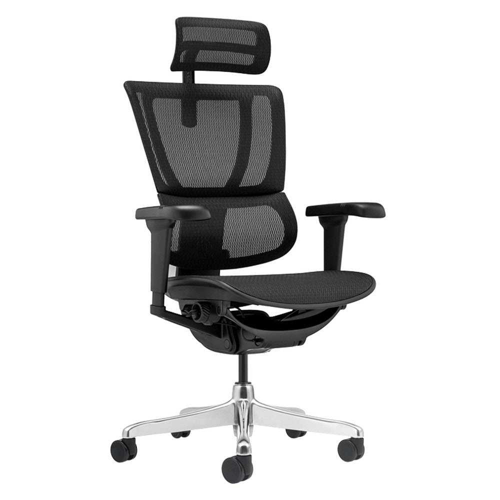 Ergohuman IOO ULTRA Ergonomischer B&uuml;rostuhl &ndash; Schwarz - Bild 1