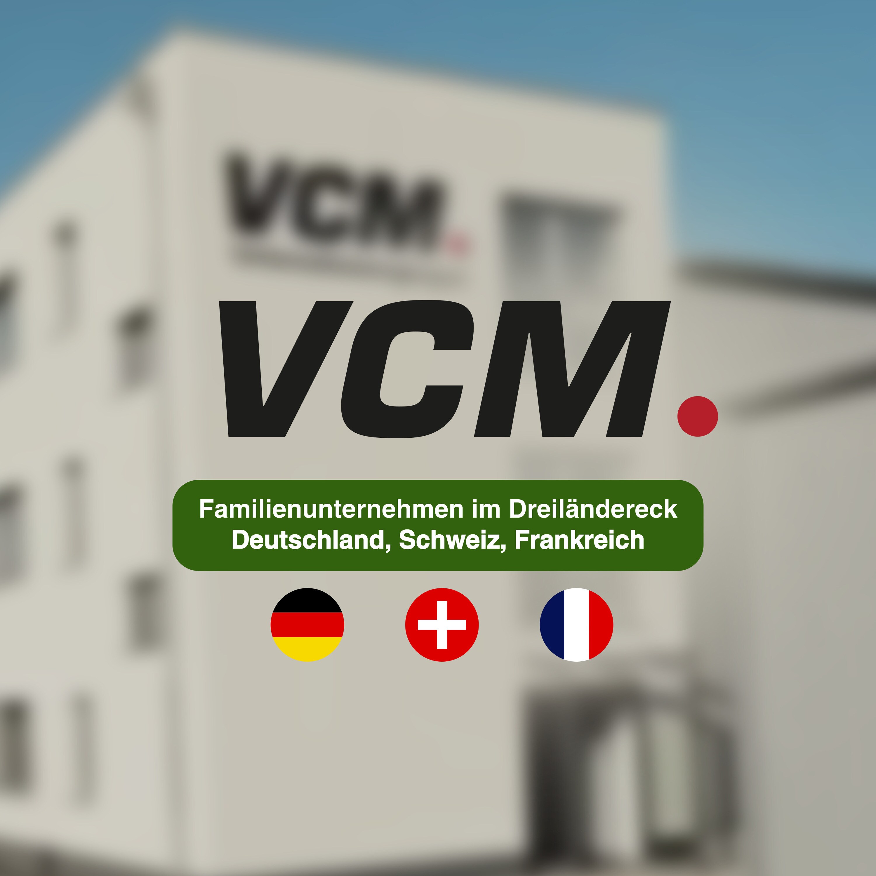 VCM Holzregal stehend | platzsparender CD-Schrank f&uuml;r 480 CDs oder 224 DVDs | Ma&szlig;e:H. 82 x B. 102 x T. 23 cm | Elegantes DVD Regal stehend | Blu-Ray Regal | CD Regal  Megosa L - Bild 1