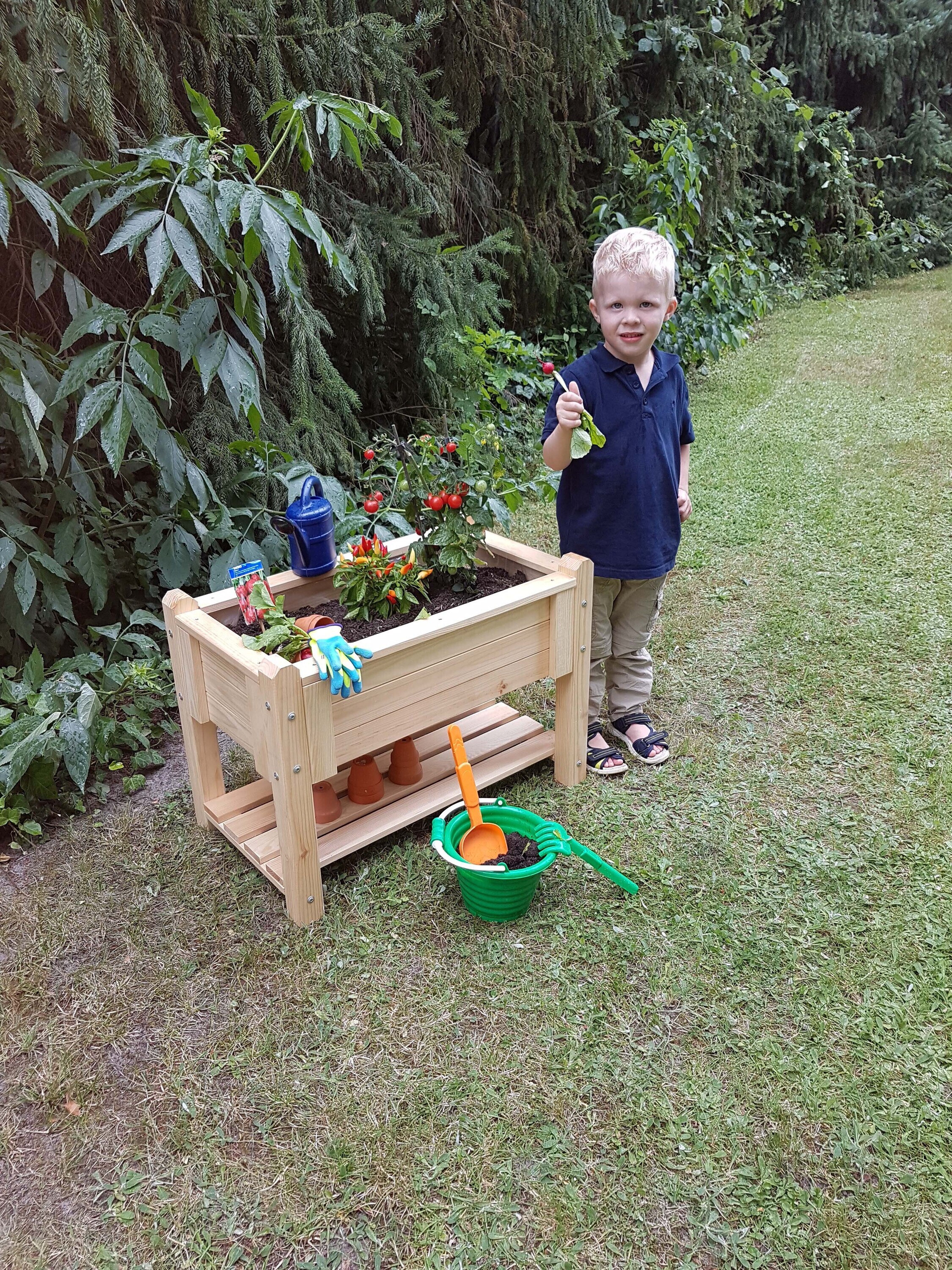 Promadino Kinder-Kr&auml;uterbeet "Bruno", natur - Bild 1