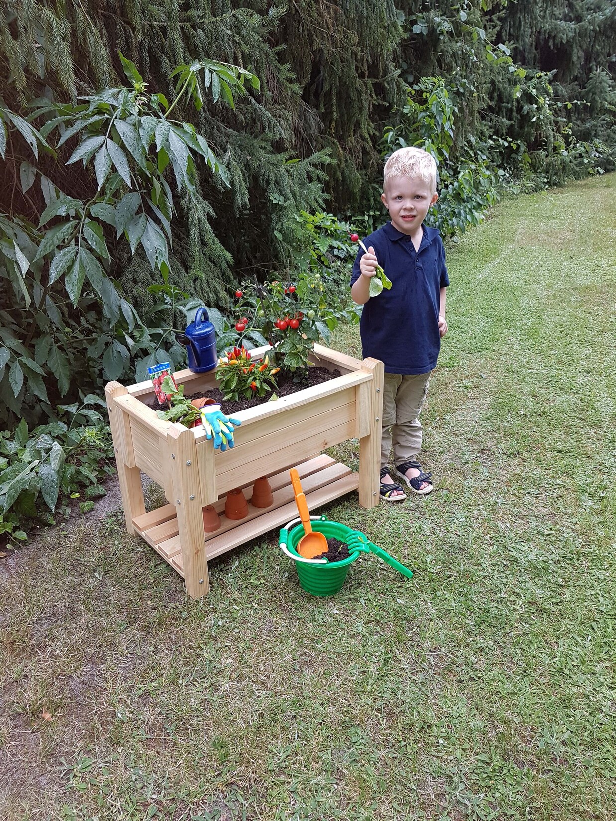 Promadino Kinder-Kräuterbeet „Bruno“, natur | 04012379317753