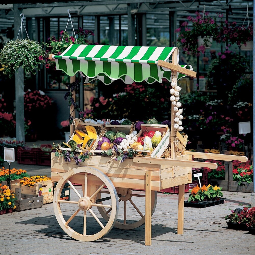 Promadino Marktwagen mit Baldachin wei&szlig;/gr&uuml;n - Bild 1