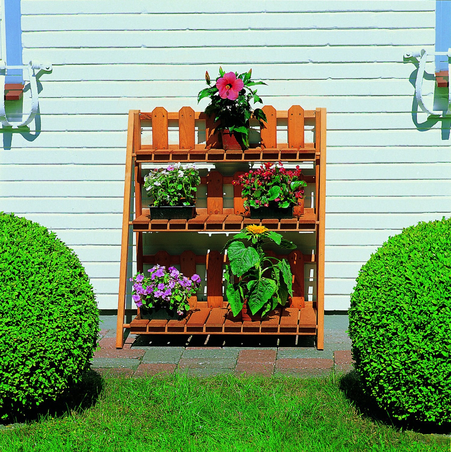 Promadino Blumenetagerie "Altes Land" - Bild 1