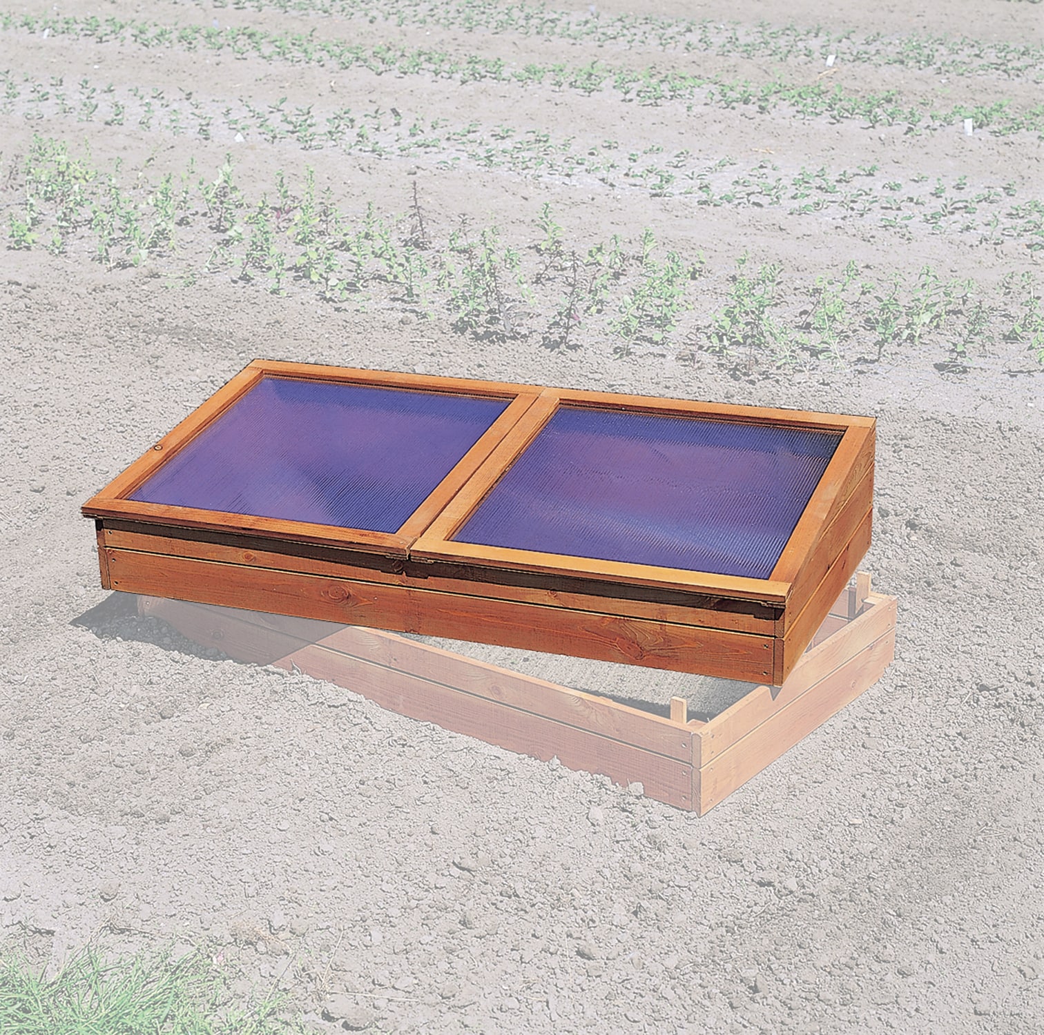 Promadino Fr&uuml;hbeet doppelt - Bild 1