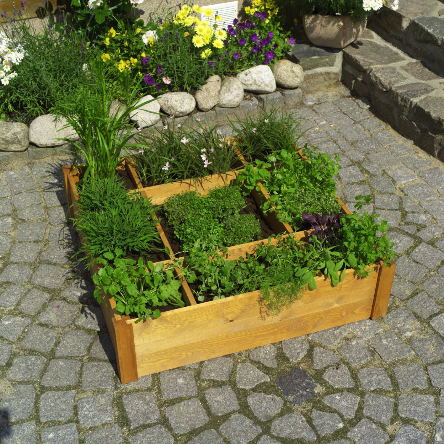 Promadino Kr&auml;uterbeet - Bild 1