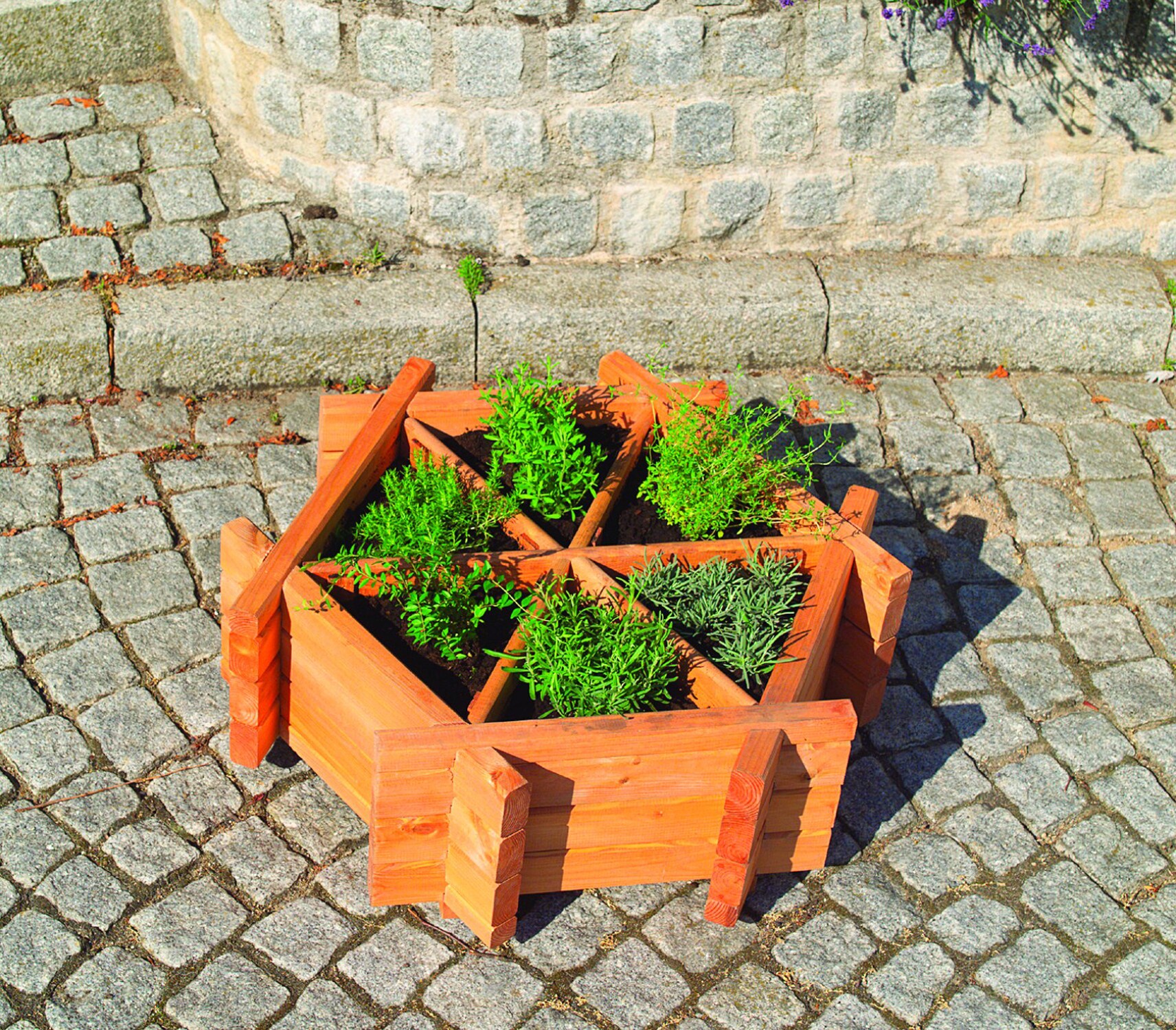 Promadino Kr&auml;uterrad klein - Bild 1