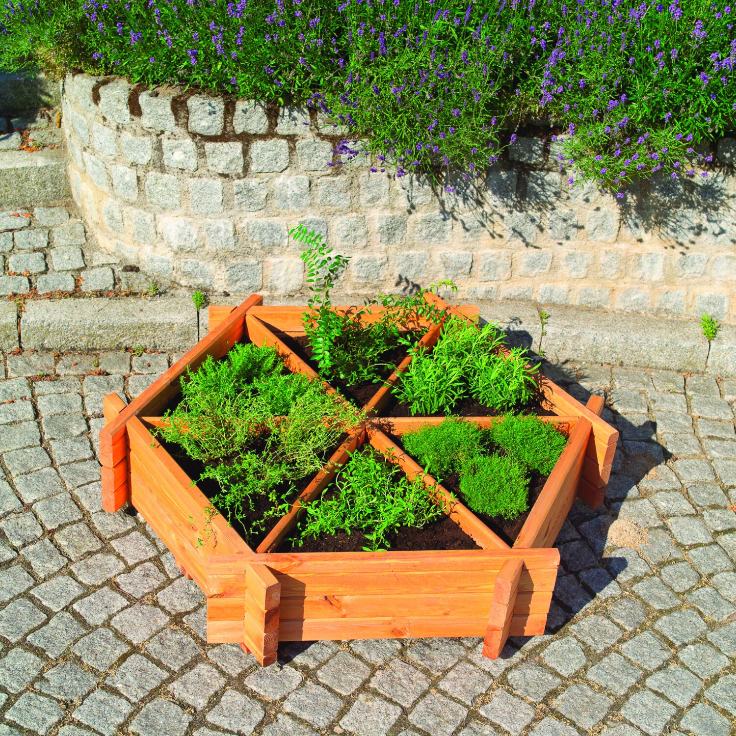 Promadino Kr&auml;uterrad gro&szlig; - Bild 1