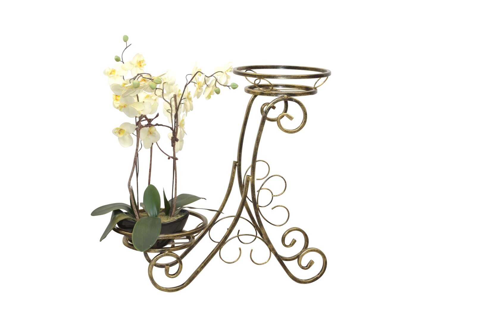 möbel direkt online Blumenständer Heino | 04046884081557