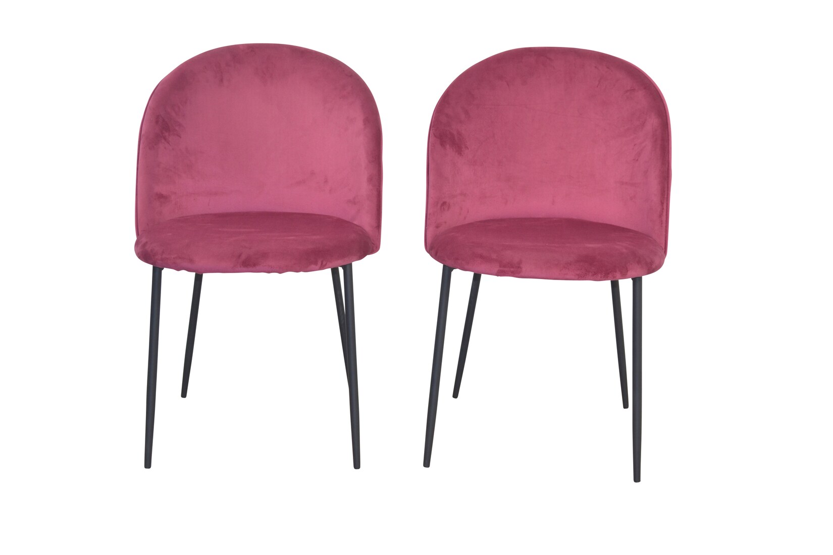 möbel direkt online 4-Fuß-Polsterstuhl 2Stück