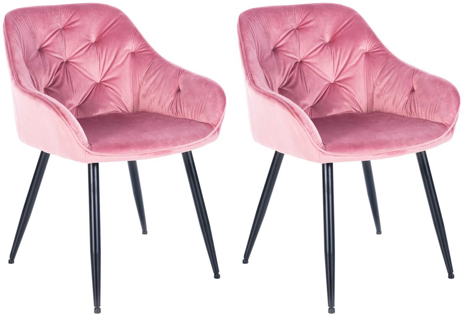 CLP 2er Set Esszimmerst&uuml;hle Cassis Samtbezug I Gesteppte Polsterst&uuml;hle mit R&uuml;ckenlehnen I Stabile K&uuml;chenst&uuml;hle mit Bodenschonern - Bild 1
