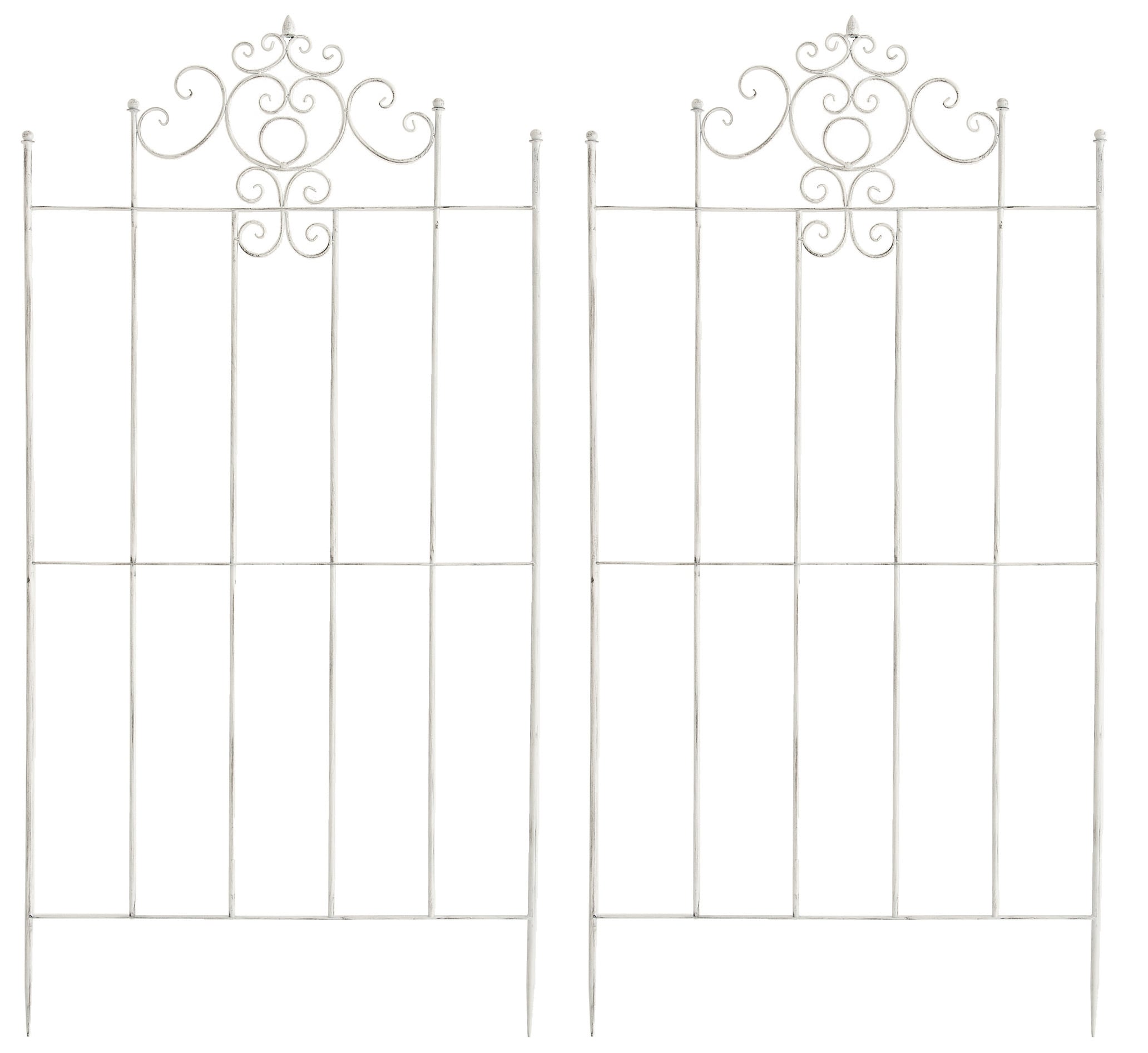 CLP 2er Set Eisen-Rankgitter Paula Im Rustikalen Landhausstil I Rankzaun Mit Stilvollen Verzierungen - Bild 1