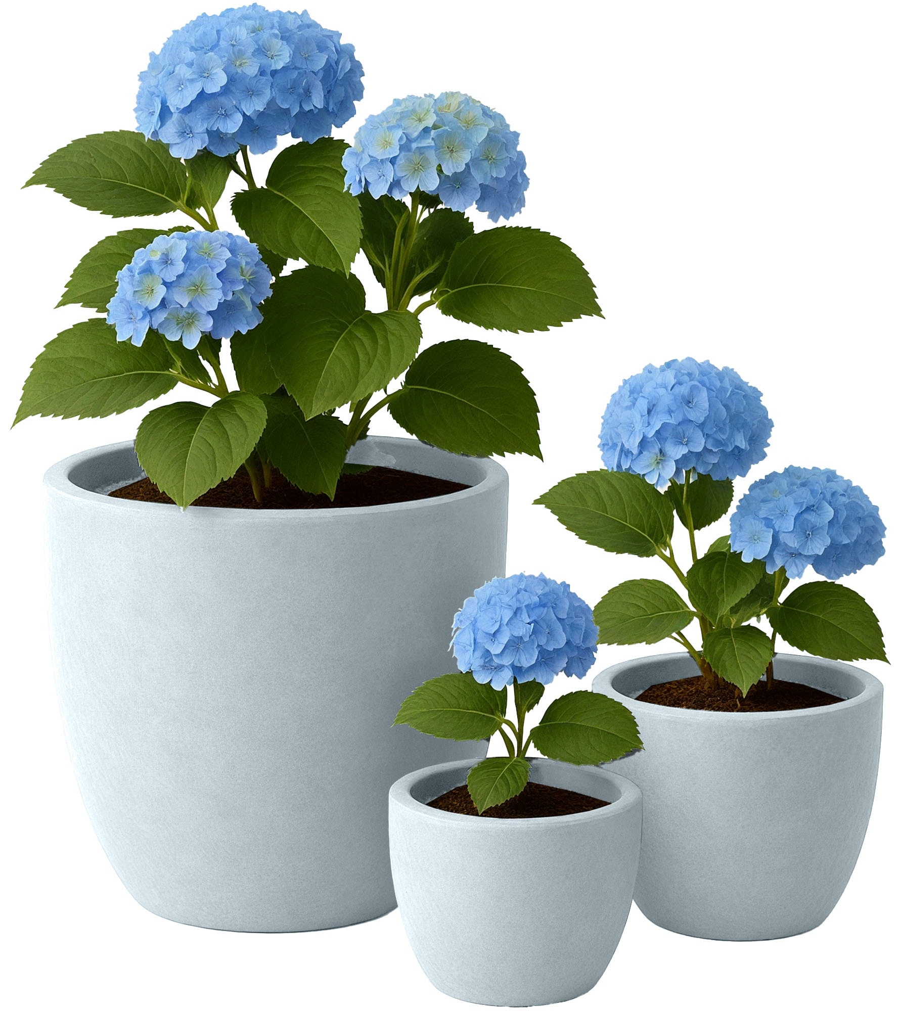 CLP Pflanzk&uuml;bel gro&szlig;, 3er Set f&uuml;r au&szlig;en und innen, Outdoor XXL Blumenk&uuml;bel rund, wetterbest&auml;ndig frostsicher in Steinoptik, winterfest - Bild 1