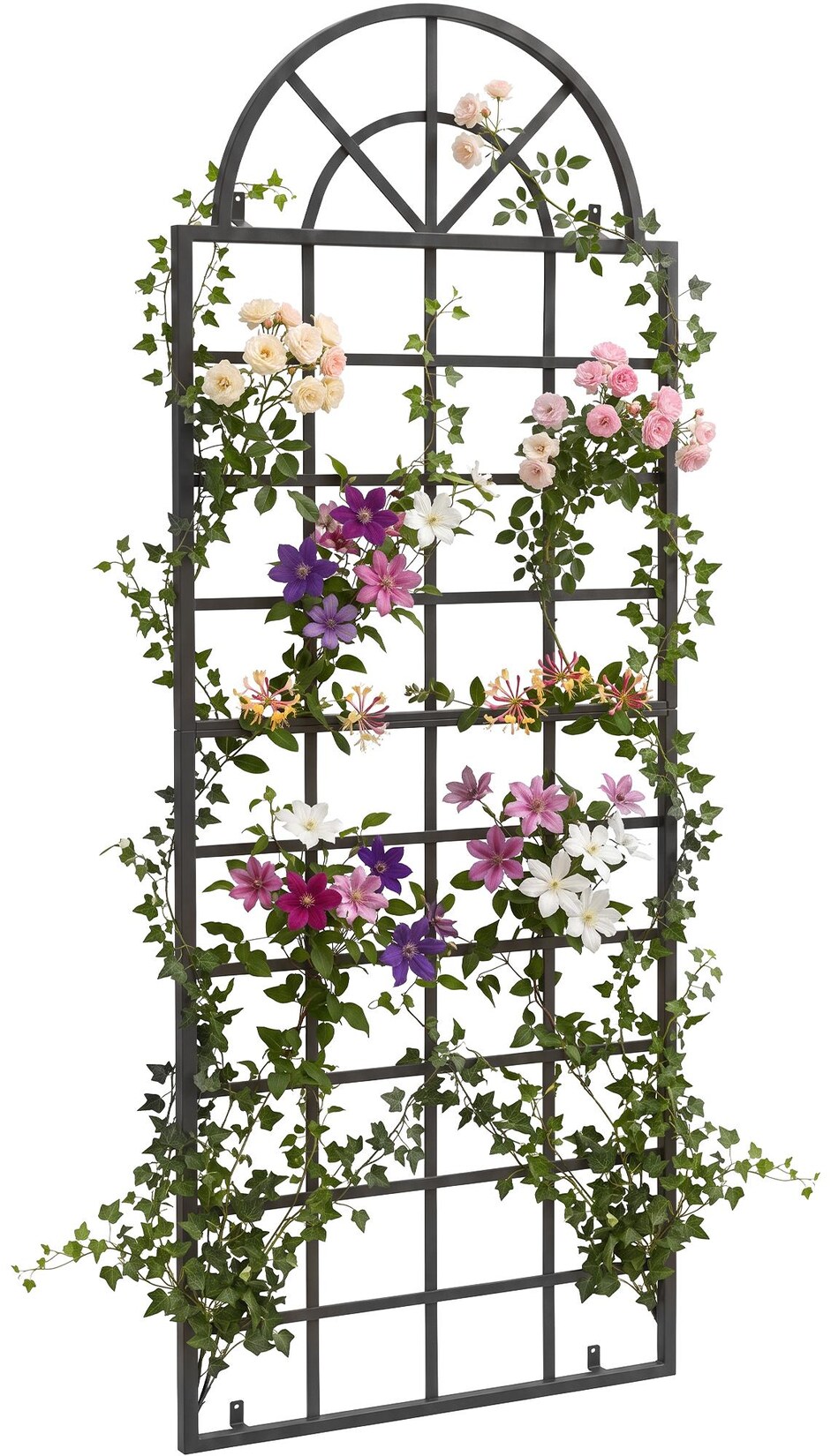 Rankgitter Viva aus Eisen mit Rundbogen und integrierten Halterungen, ideale Kletterhilfe und Rankhilfe für Garten, Terrasse und Balkon