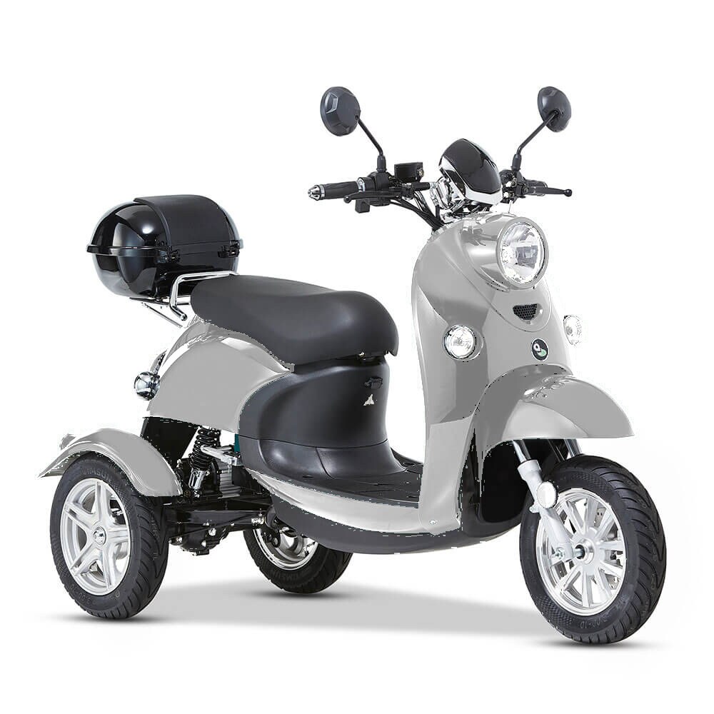 ENEWAY 3-Rad E-Mobil Modena II 25 km/h E-Trike ETrike Elektrofahrzeug Mobilit&auml;tsfahrzeug silber - Bild 1