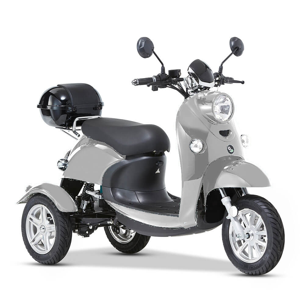 ENEWAY 3-Rad E-Mobil Modena II 25 km/h E-Trike ETrike Elektrofahrzeug Mobilit&auml;tsfahrzeug silber - Bild 1