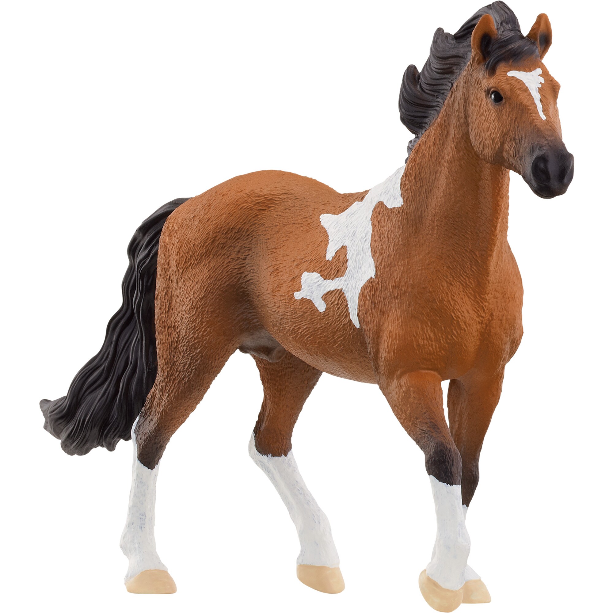 Schleich Spielfigur Horse Club Mangalarga Marchador Hengst - Bild 1