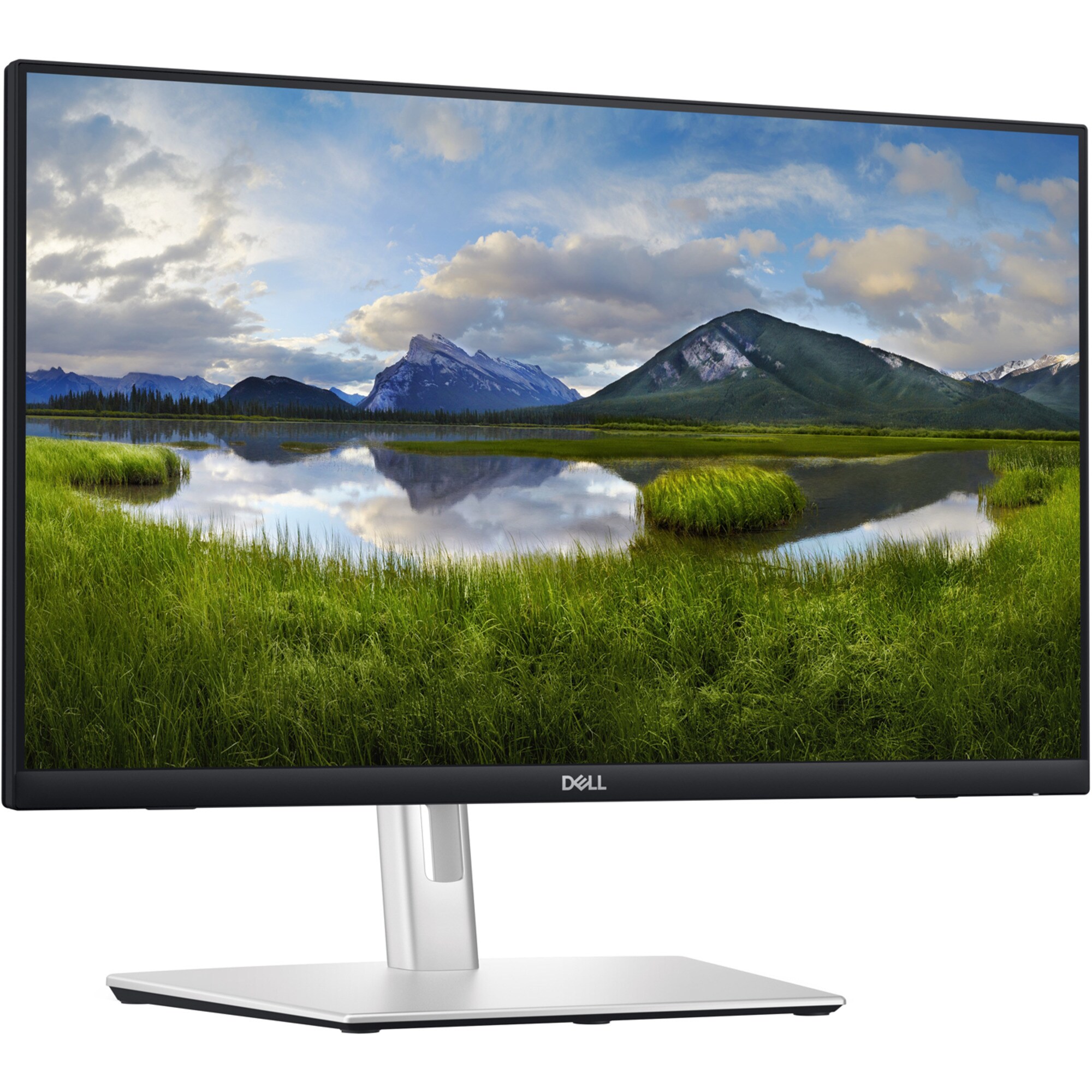 Dell LED-Monitor P2424HT - Bild 1