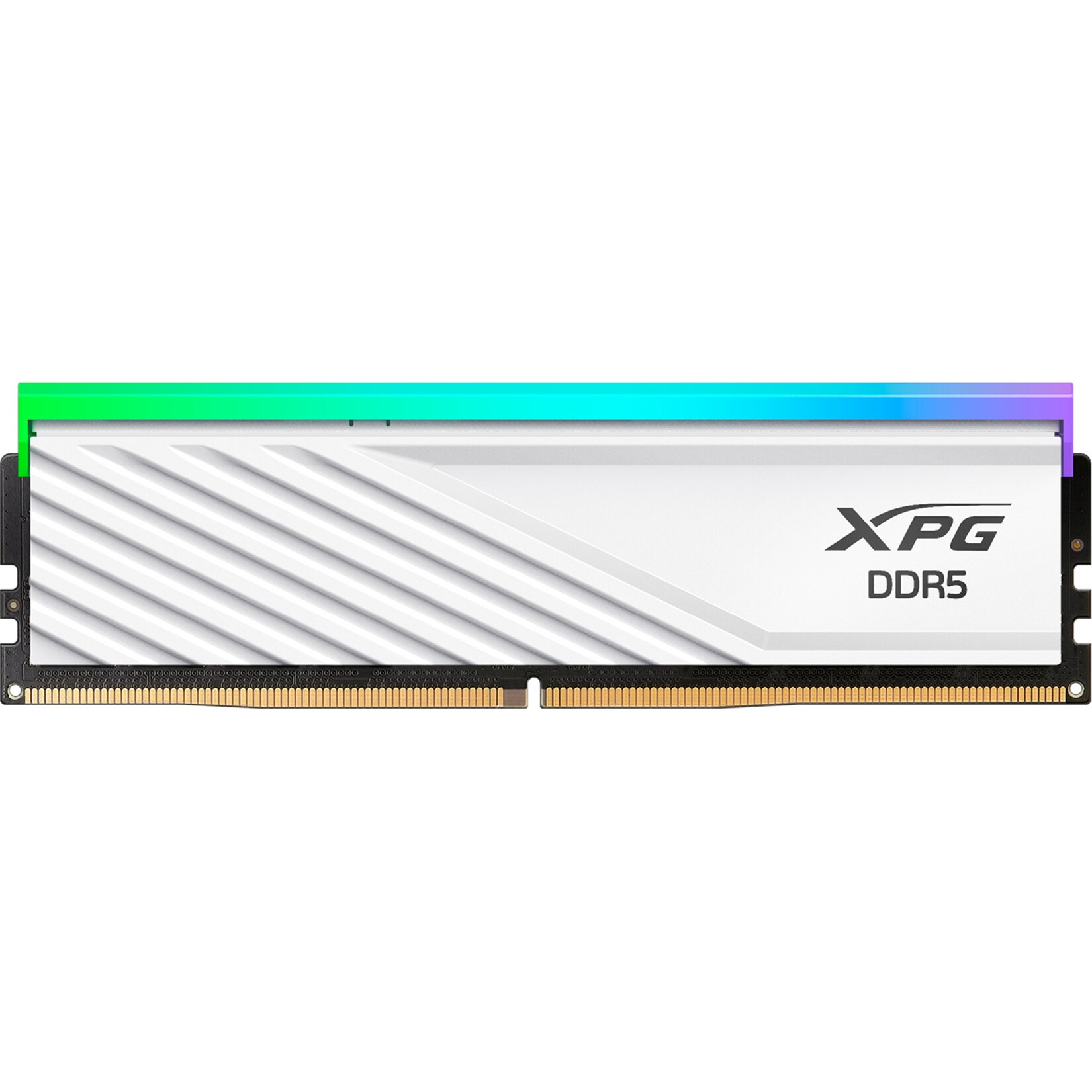 ADATA Arbeitsspeicher DIMM 8 GB DDR5-5600 (1x 8 GB) | 04711085949929