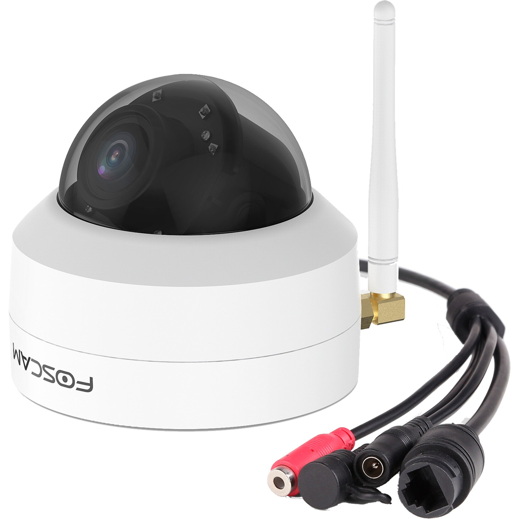 Foscam Überwachungskamera D4Z | 06954836000595