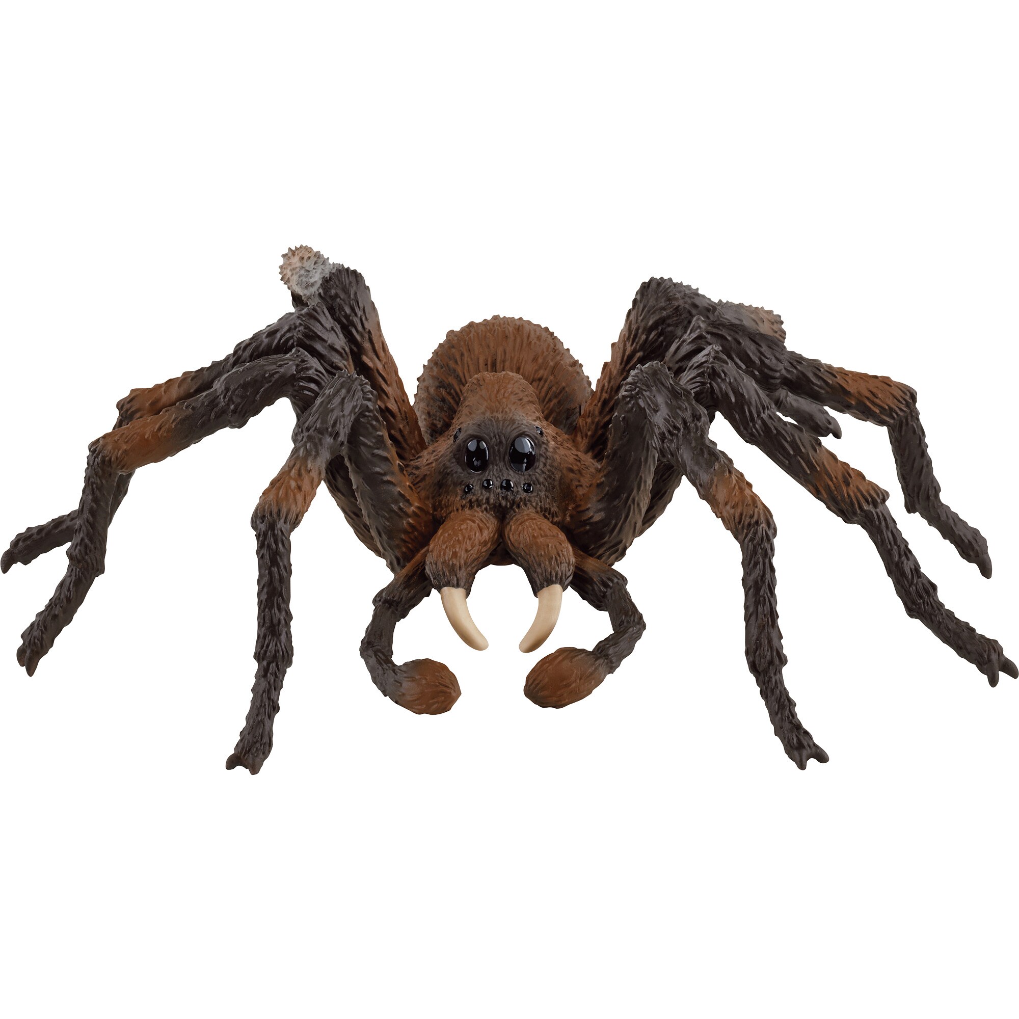 Schleich Spielfigur Wizarding World Harry Potter - Aragog - Bild 1