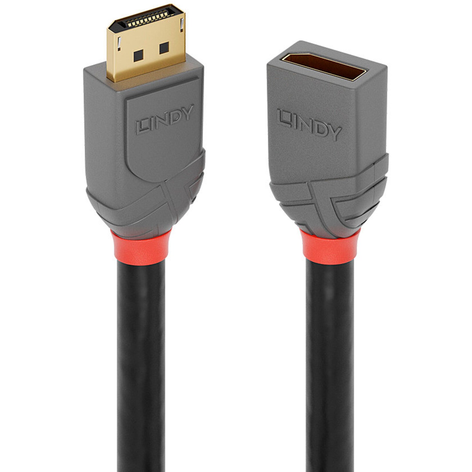 Lindy Kabel DisplayPort 1.4 Verlängerungskabel Anthra Line, Stecker > Buchse | 04002888364966