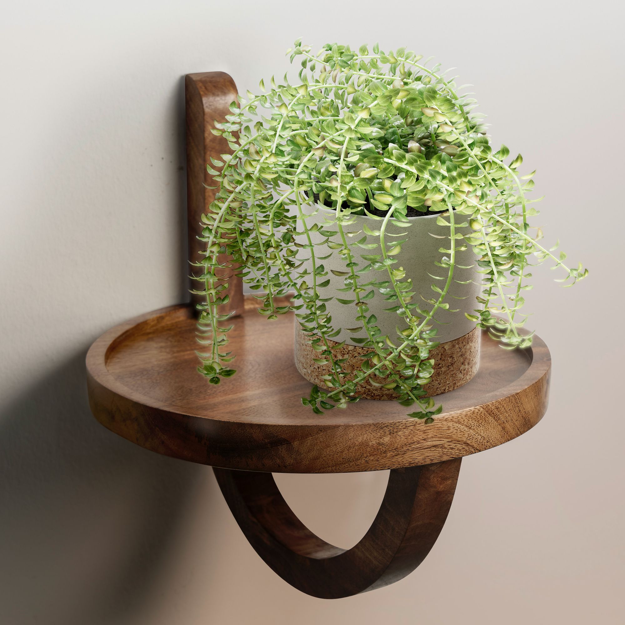 Wandregal FineBuy H&auml;ngeregal 30x33x30 cm Massivholz Nachttisch Wand Regal Rund - Bild 1