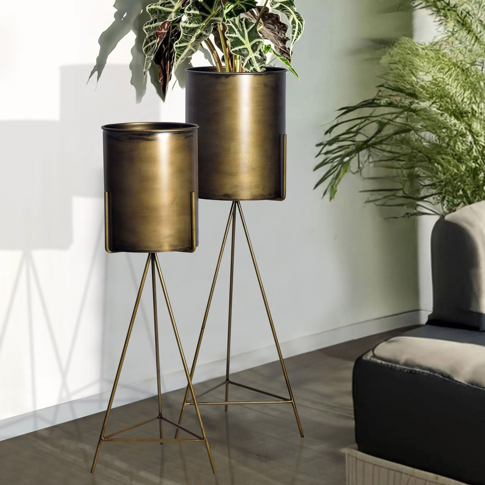 Blumentopf FineBuy Pflanzenk&uuml;bel 2er Set Metall Gold Rund Pflanzgef&auml;&szlig; Hoch Eisen - Bild 1