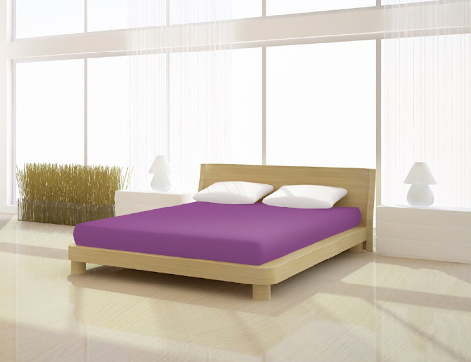 Mr. Sandman Spannbetttuch Elastan basic 140-160 x 200-220 cm