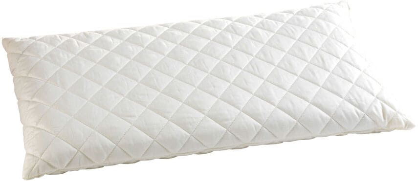f.a.n. Frankenstolz Medisan Sleep & Care Dinkelkissen 40x80 cm - Bild 1