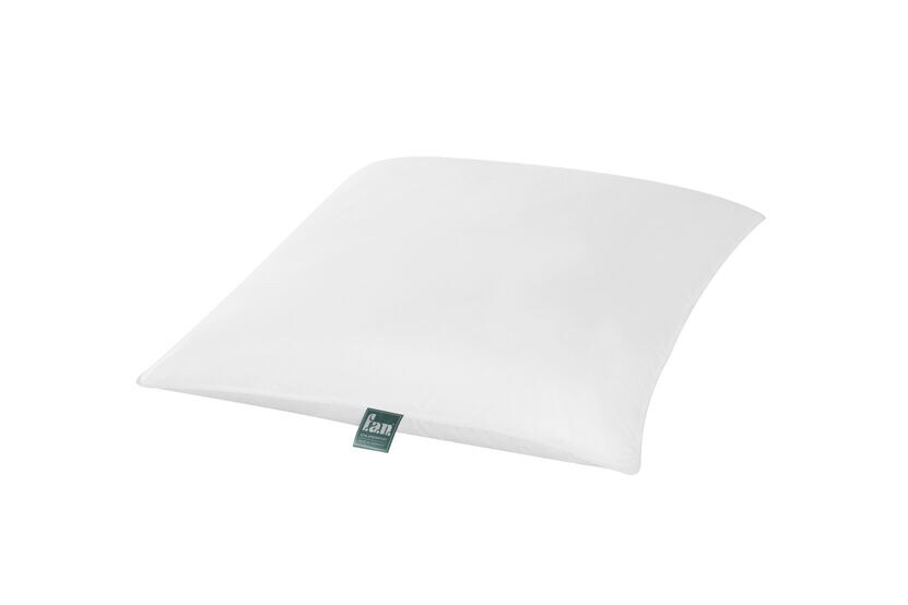 f.a.n. Frankenstolz Kopfkissen Daune Alaska Soft 80x80 cm