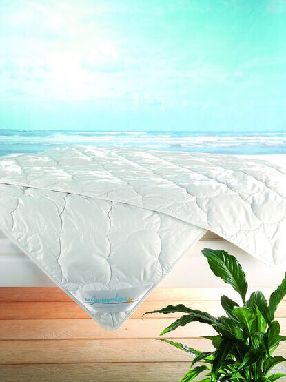 f.a.n. Frankenstolz f.a.n. Leicht-Steppbett Cool Linnen 155x220 cm - Bild 1
