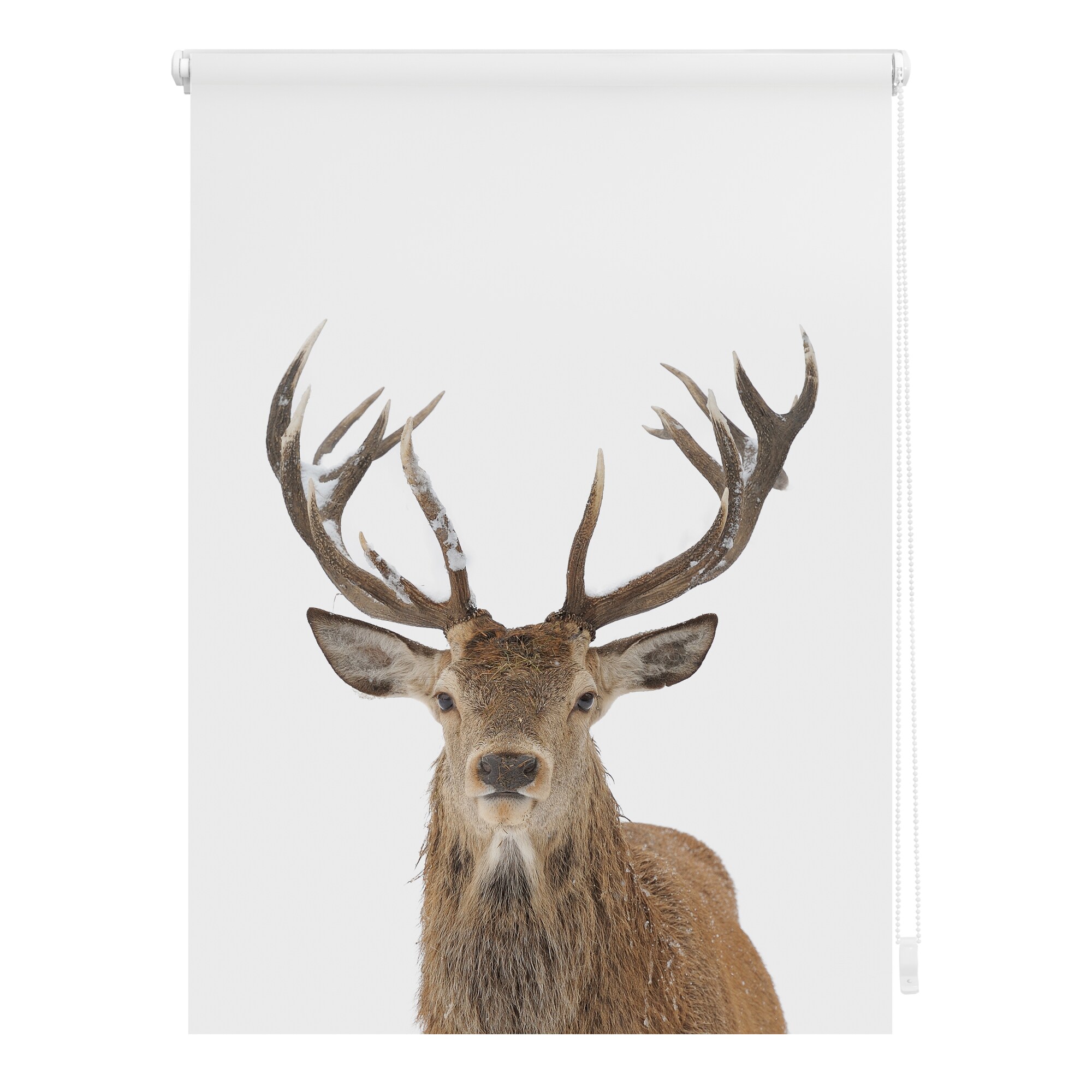 Lichtblick Rollo Klemmfix, ohne Bohren, blickdicht, Hirsch - Wei&szlig; Braun - Bild 1