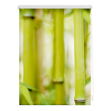 Lichtblick Rollo Klemmfix, ohne Bohren, blickdicht, Bambus - Grün - Bild 1