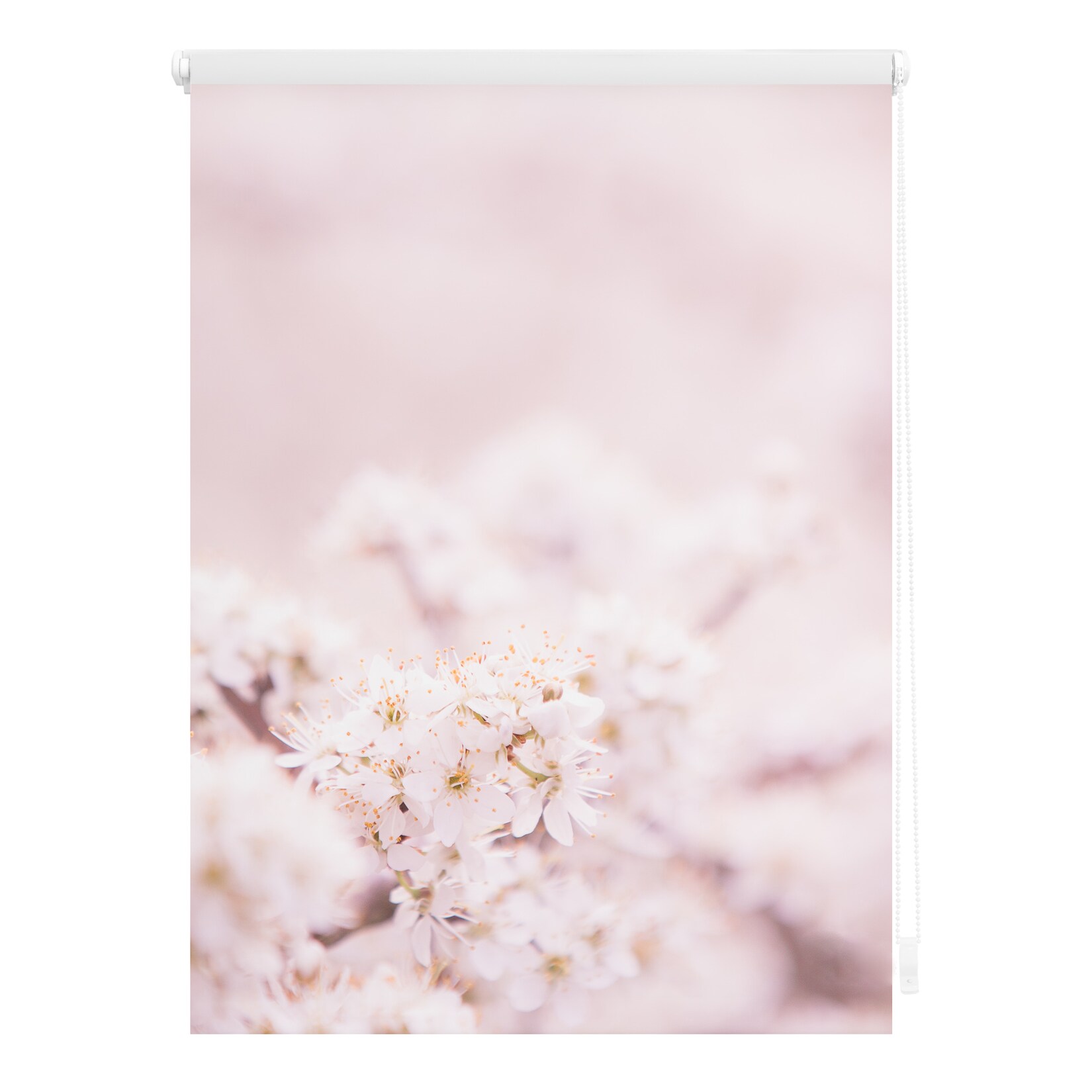 Lichtblick Rollo Klemmfix, ohne Bohren, blickdicht, Kirschblüten - Rosa Weiß