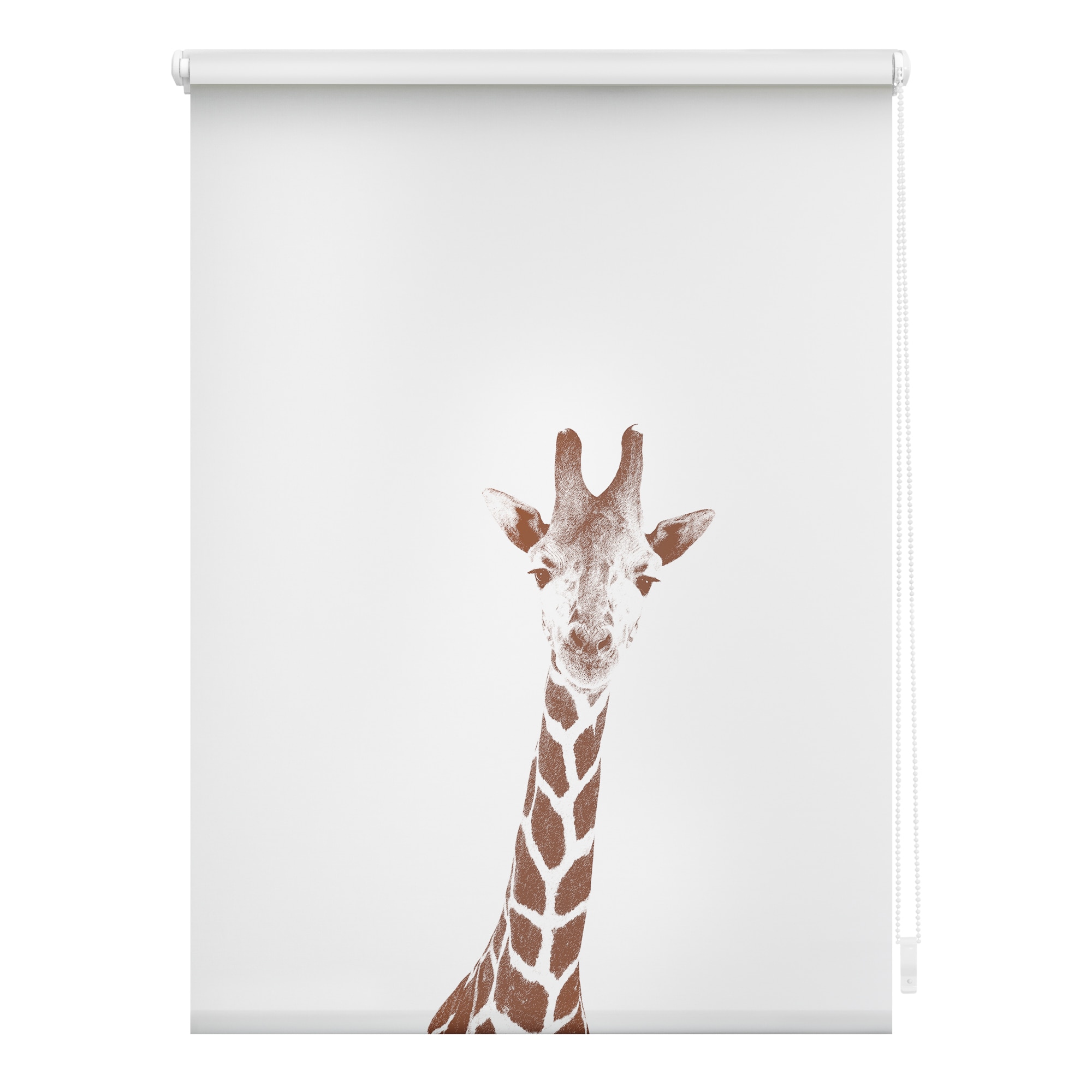 Lichtblick Rollo Klemmfix, ohne Bohren, blickdicht, Giraffe - Braun - Bild 1